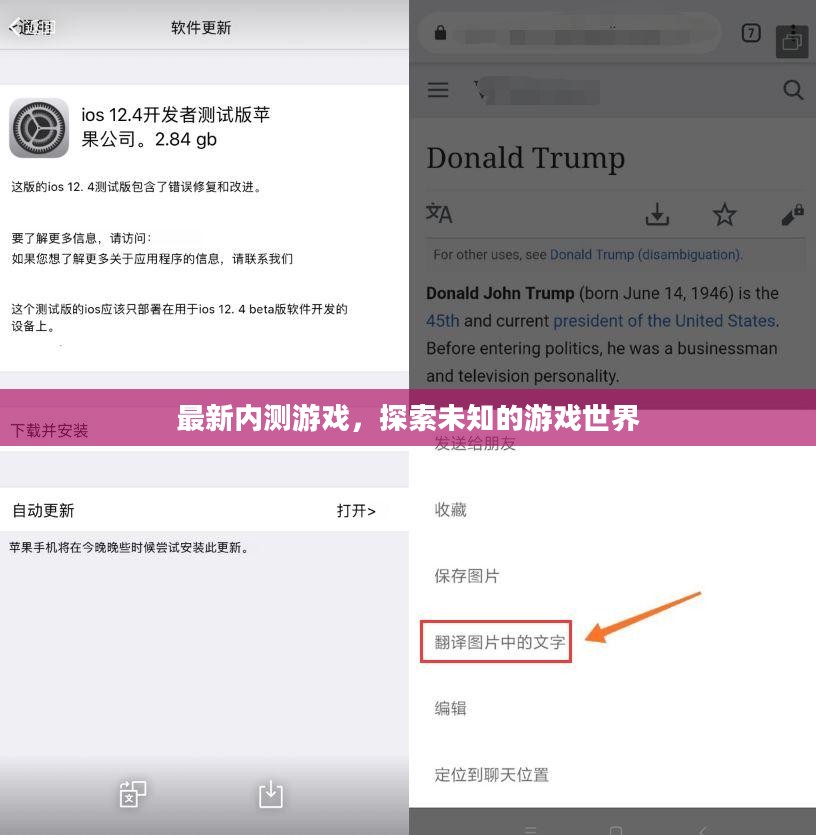 最新内测游戏，探索未知的游戏世界