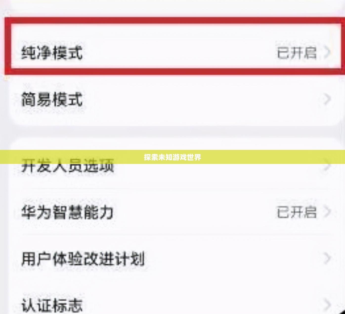 最新内测游戏，探索未知的游戏世界
