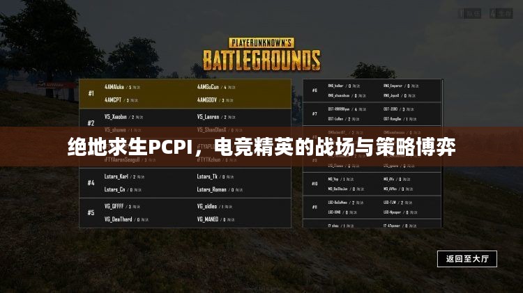 绝地求生PCPI，电竞精英的战场与策略博弈