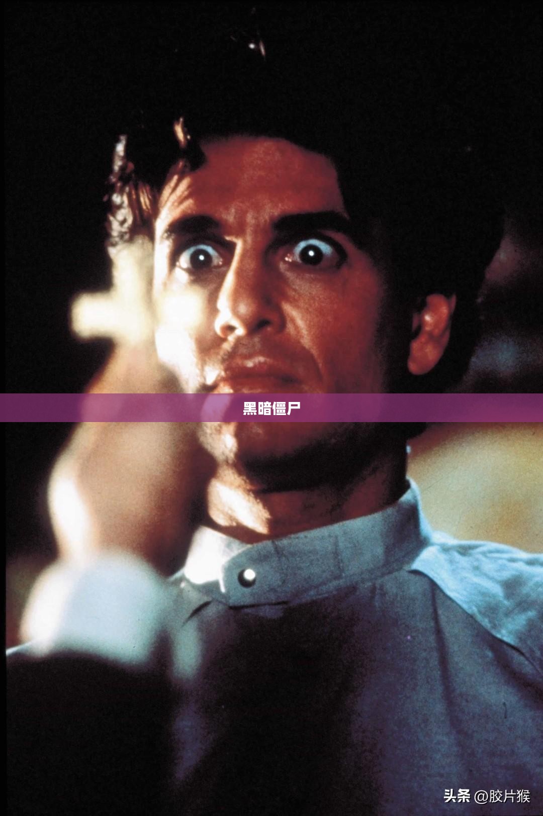黑暗僵尸，神秘与恐怖的交织