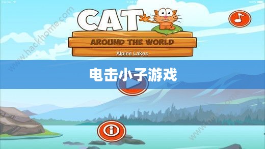 电击小子游戏，冒险与挑战的魅力之旅