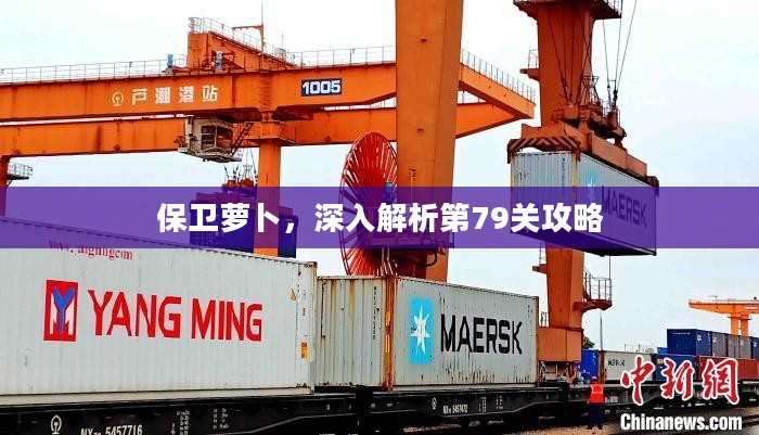 保卫萝卜，深入解析第79关攻略