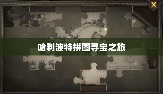 哈利波特拼图寻宝之旅,第10章与第22章的神秘冒险 哈利波特拼图寻宝之旅,第10章与第22章的神秘冒险