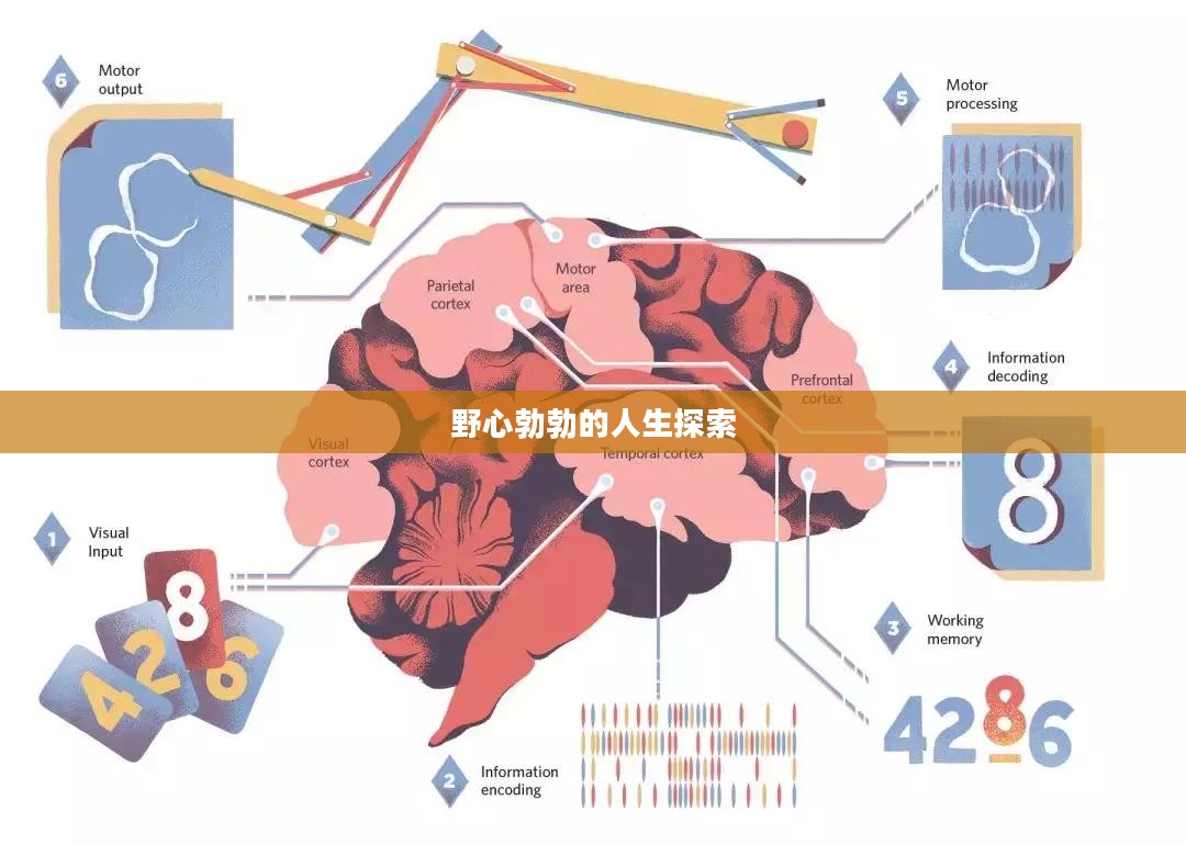模拟人生3，野心勃勃的人生探索之旅