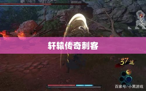 轩辕传奇刺客技能升级攻略