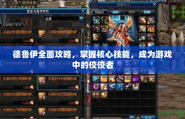 德鲁伊全面攻略，掌握核心技能，成为游戏中的佼佼者