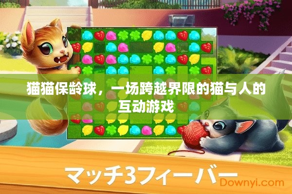 猫猫保龄球，一场跨越界限的猫与人的互动游戏