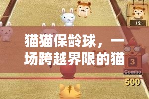 猫猫保龄球，一场跨越界限的猫与人的互动游戏
