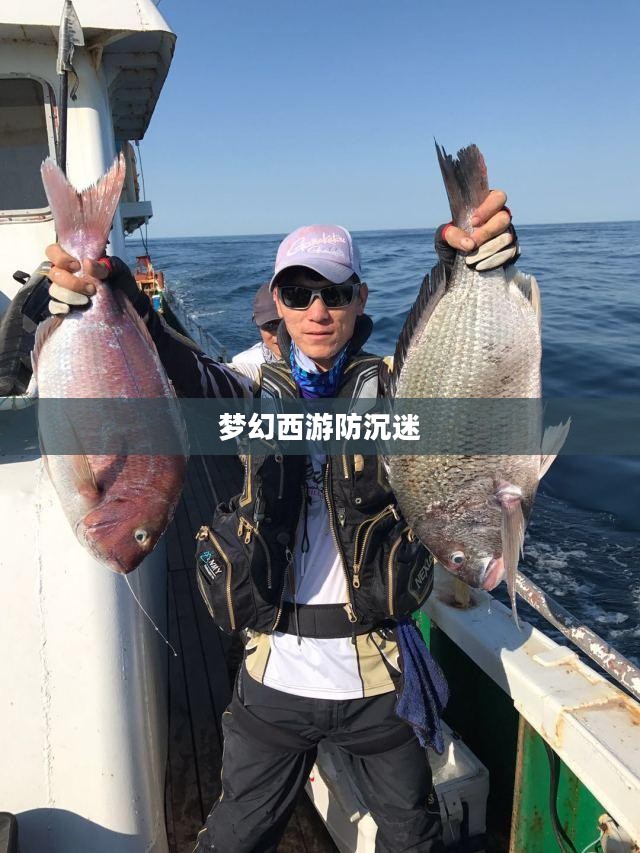 梦幻西游解防沉迷,游戏与责任的平衡之道 梦幻西游解防沉迷,游戏与责任的平衡之道