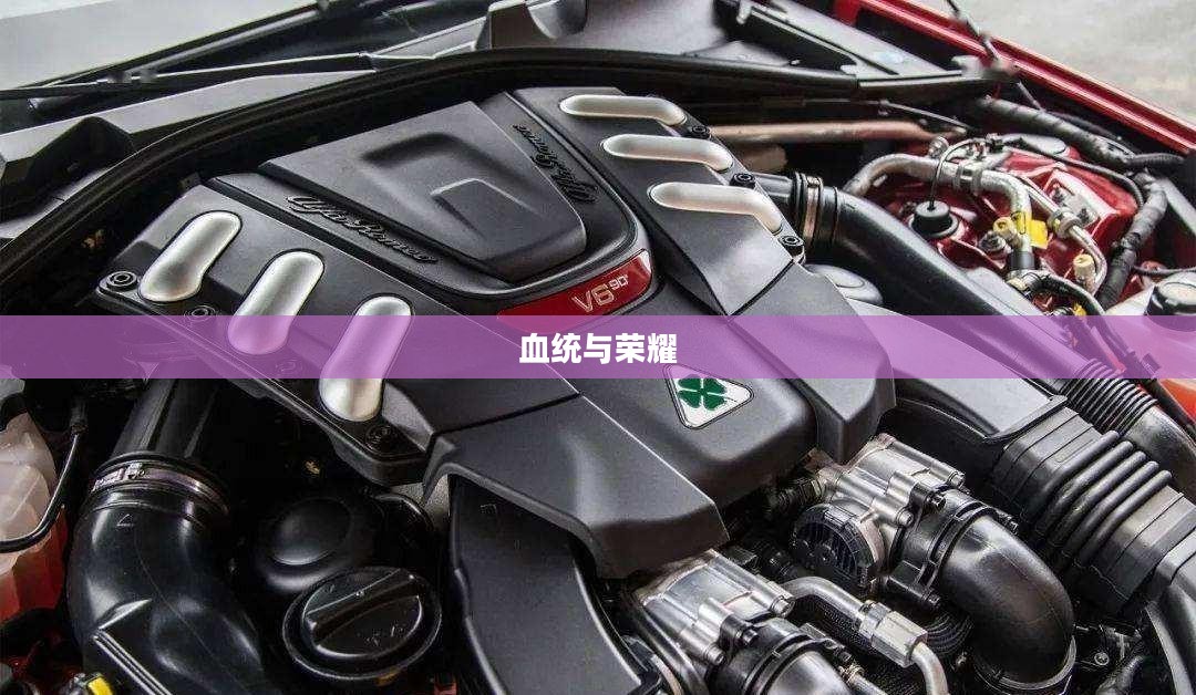 血统与荣耀，传承与发扬的力量的交织