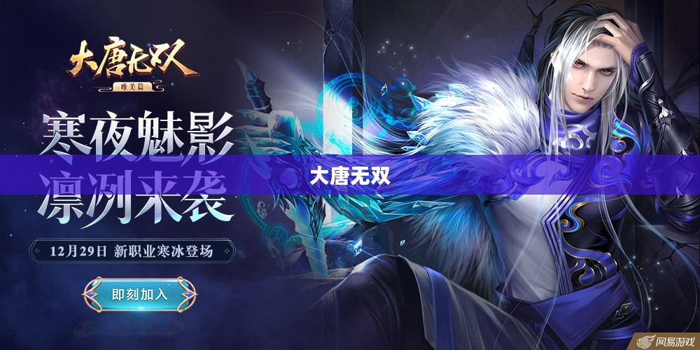 大唐无双，探究各职业的优势与魅力