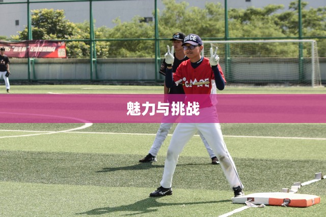 棒球本垒打的魅力与挑战
