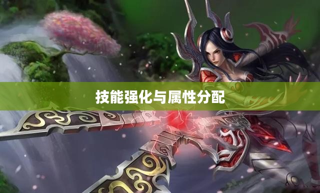 刀妹加点攻略,技能强化与属性分配的艺术 刀妹加点攻略,技能强化与属性分配的艺术