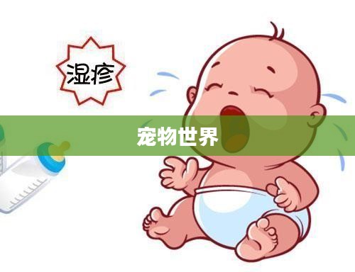阿猫阿狗秘籍，解锁宠物世界的无限可能