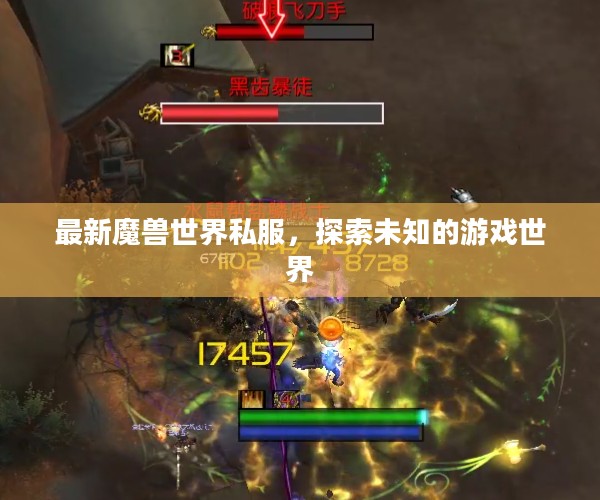 最新魔兽世界私服，探索未知的游戏世界