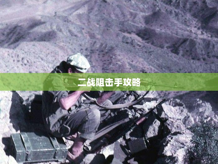 二战阻击手攻略，战略、技巧与生存之道