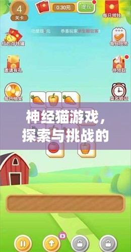 神经猫游戏，探索与挑战的乐趣之源