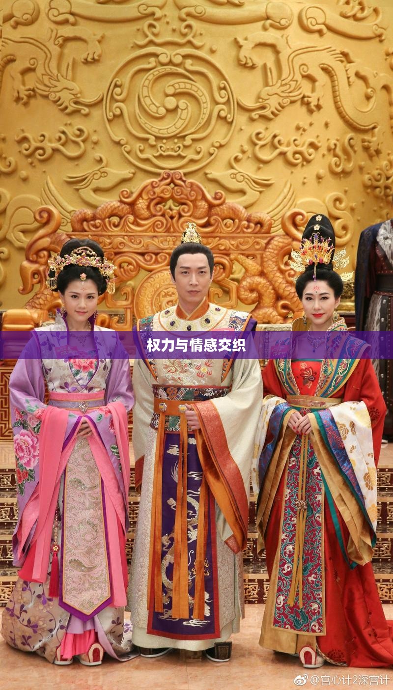 宫心记，深宫之中的权力与情感交织