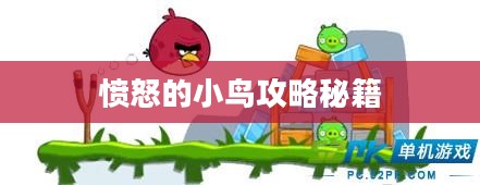 愤怒的小鸟攻略秘籍，掌握游戏精髓，轻松战胜敌人