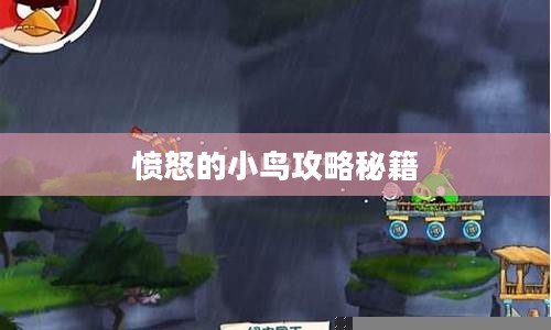 愤怒的小鸟攻略秘籍，掌握游戏精髓，轻松战胜敌人