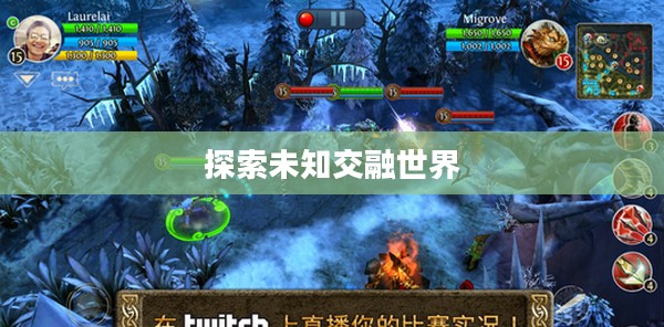 混沌与秩序英雄，探索未知的交融世界