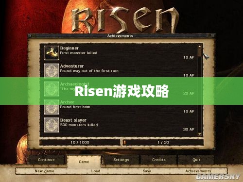 全面解析，Risen游戏攻略