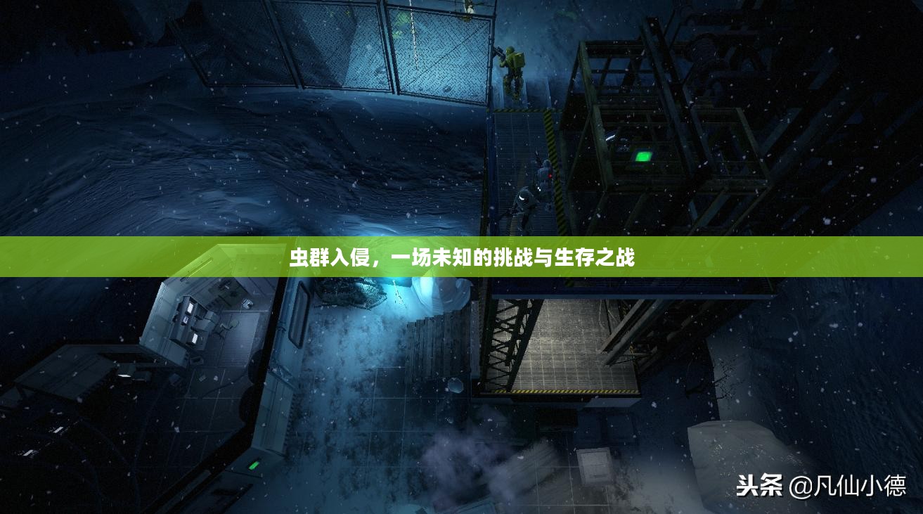 虫群入侵，一场未知的挑战与生存之战