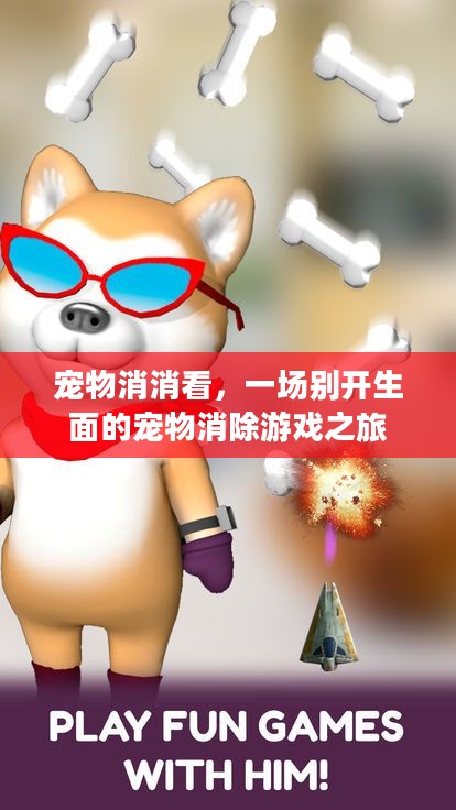 宠物消消看,一场别开生面的宠物消除游戏之旅 宠物消消看,一场别开生面的宠物消除游戏之旅