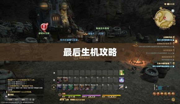 最后生机攻略，探索生存之路的终极指南