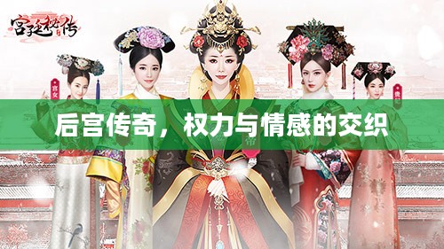 后宫传奇，权力与情感的交织