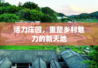 活力庄园,重塑乡村魅力的新天地 活力庄园,重塑乡村魅力的新天地