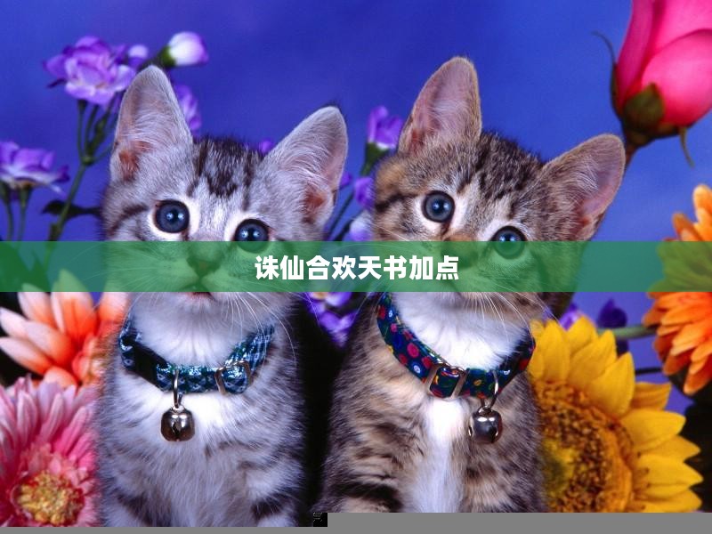 诛仙合欢天书加点攻略，探索最佳加点方案