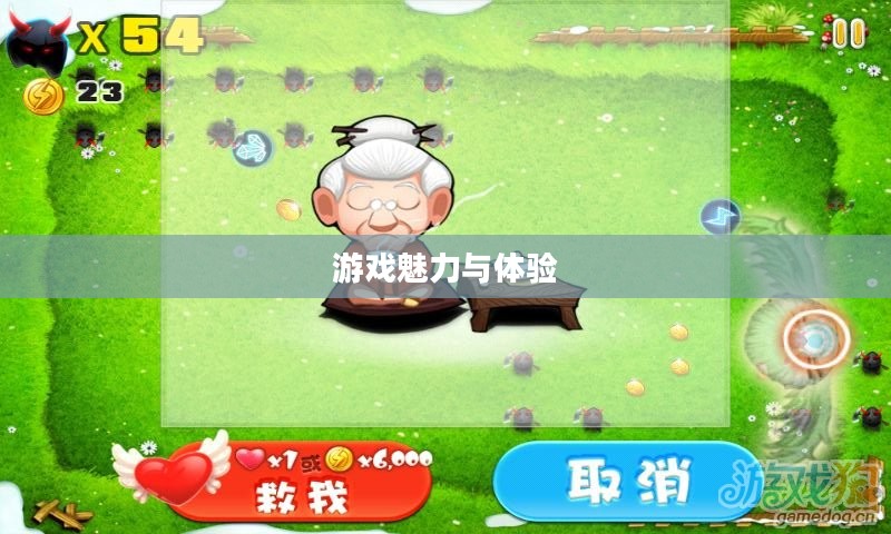 宫爆老奶奶电脑版，游戏魅力与体验的全面展现