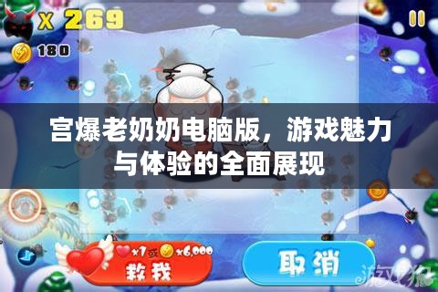 宫爆老奶奶电脑版,游戏魅力与体验的全面展现 宫爆老奶奶电脑版,游戏魅力与体验的全面展现