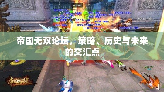 帝国无双论坛，策略、历史与未来的交汇点
