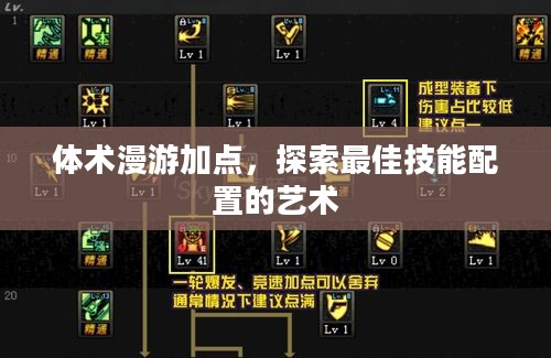 体术漫游加点，探索最佳技能配置的艺术