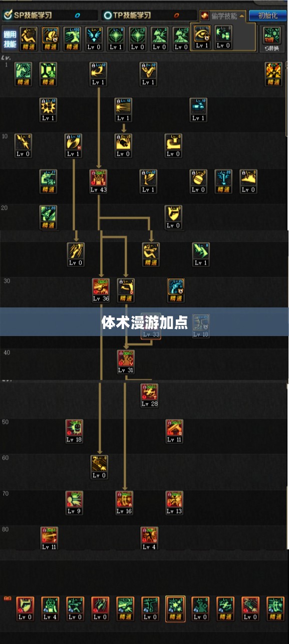 体术漫游加点，探索最佳技能配置的艺术