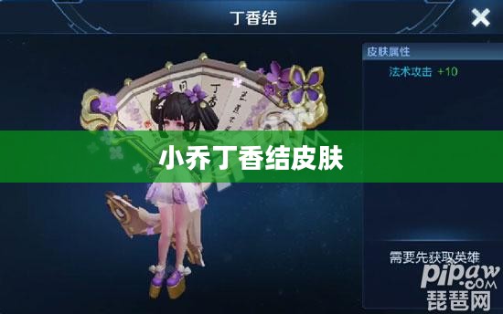 小乔丁香结皮肤的价格解析
