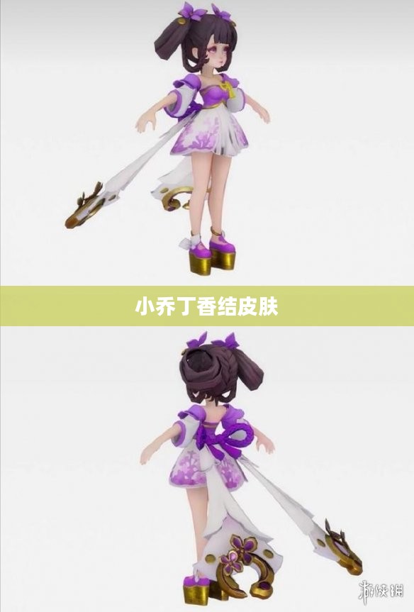 小乔丁香结皮肤的价格解析