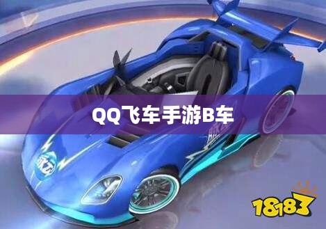 QQ飞车手游B车,速度与激情的完美融合 QQ飞车手游B车,速度与激情的完美融合