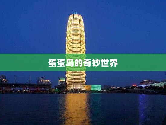 蛋蛋鸟的奇妙世界 蛋蛋鸟的奇妙世界