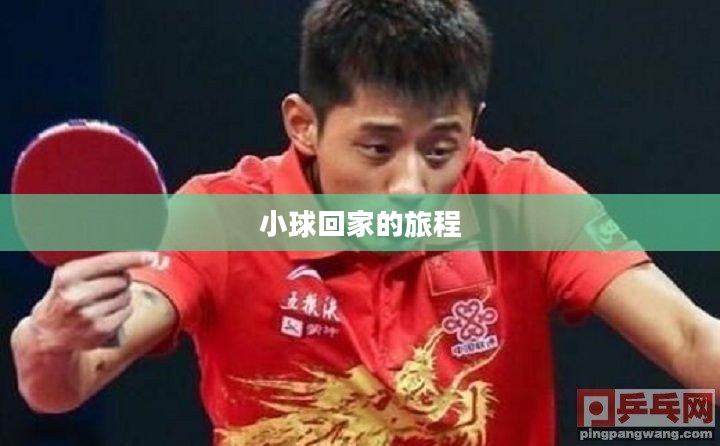小球回家的旅程