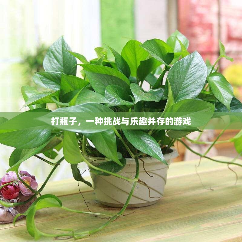 打瓶子,一种挑战与乐趣并存的游戏 打瓶子,一种挑战与乐趣并存的游戏