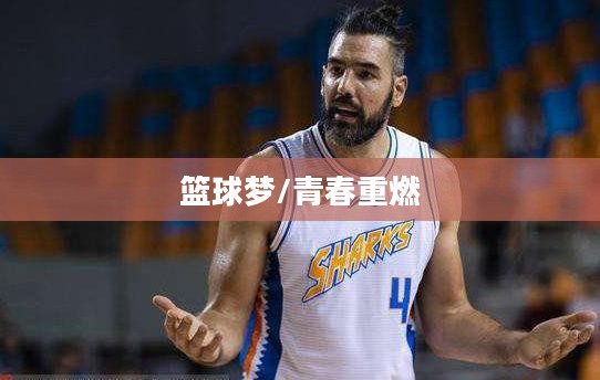 灌篮高手正版手游首发，热血篮球梦，重燃青春之火