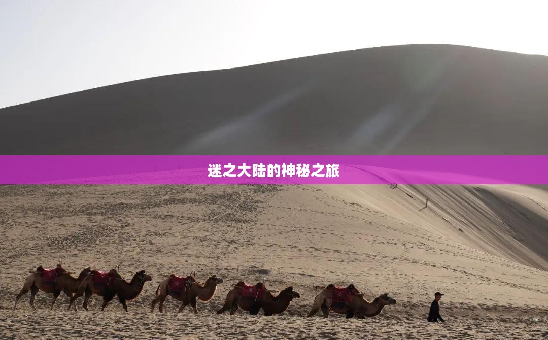 迷之大陆的神秘之旅