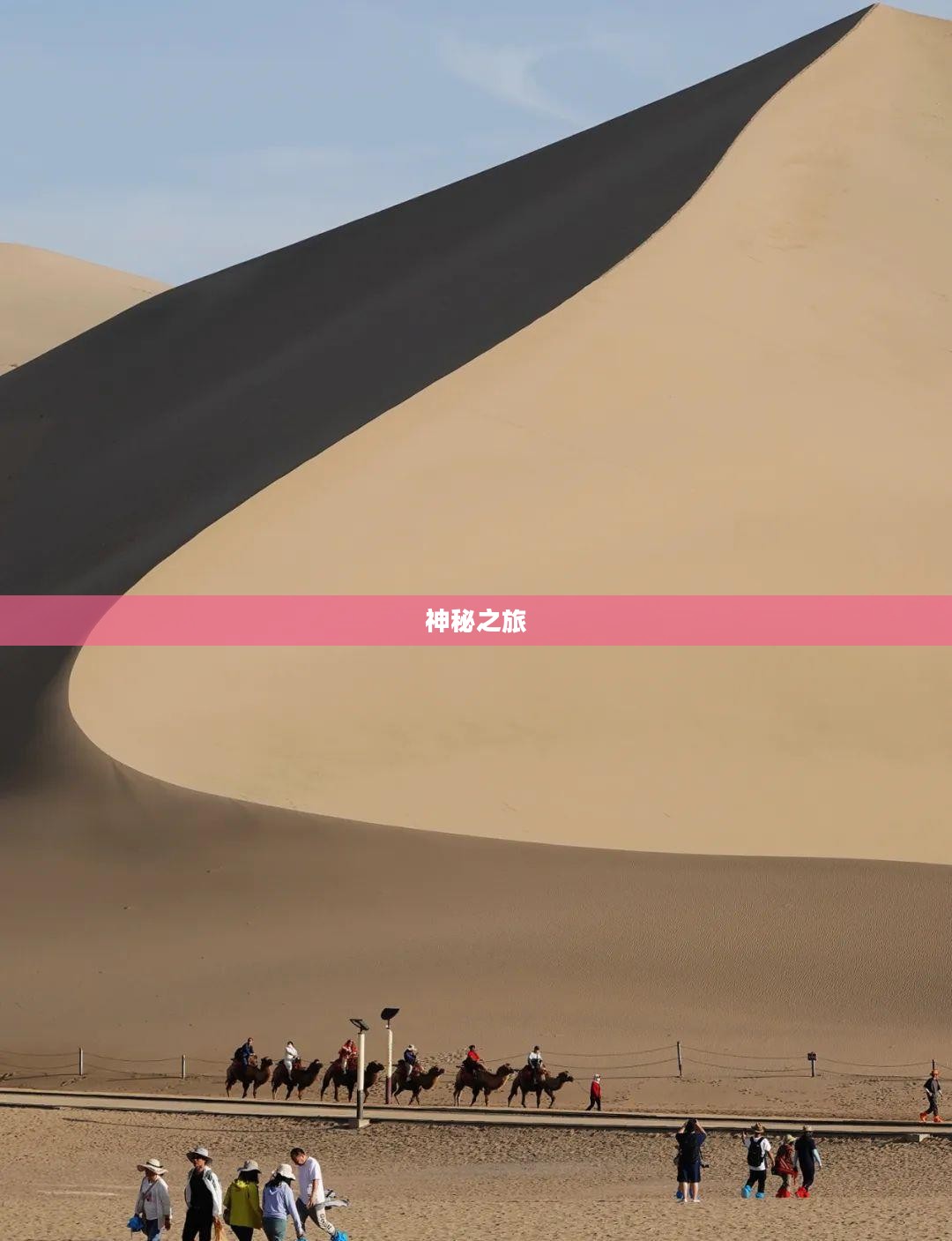 迷之大陆的神秘之旅 迷之大陆的神秘之旅