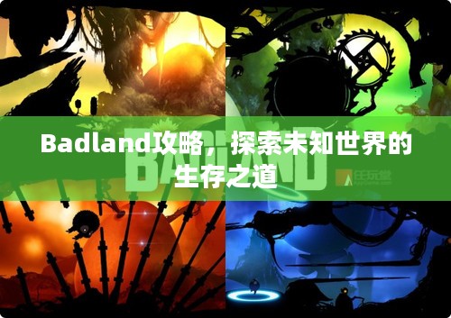 Badland攻略，探索未知世界的生存之道