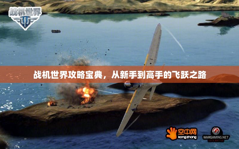 战机世界攻略宝典,从新手到高手的飞跃之路 战机世界攻略宝典,从新手到高手的飞跃之路