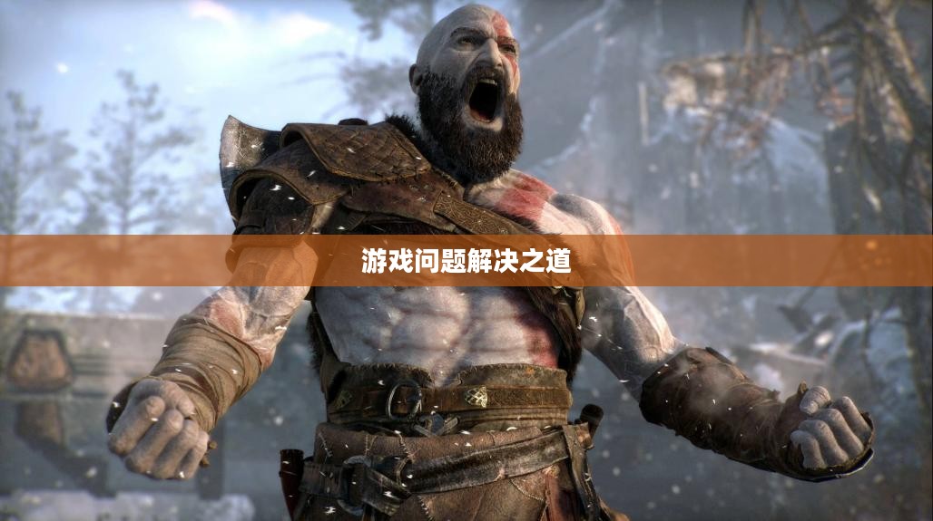 刺客信条4，游戏无法运行的困扰与解决之道