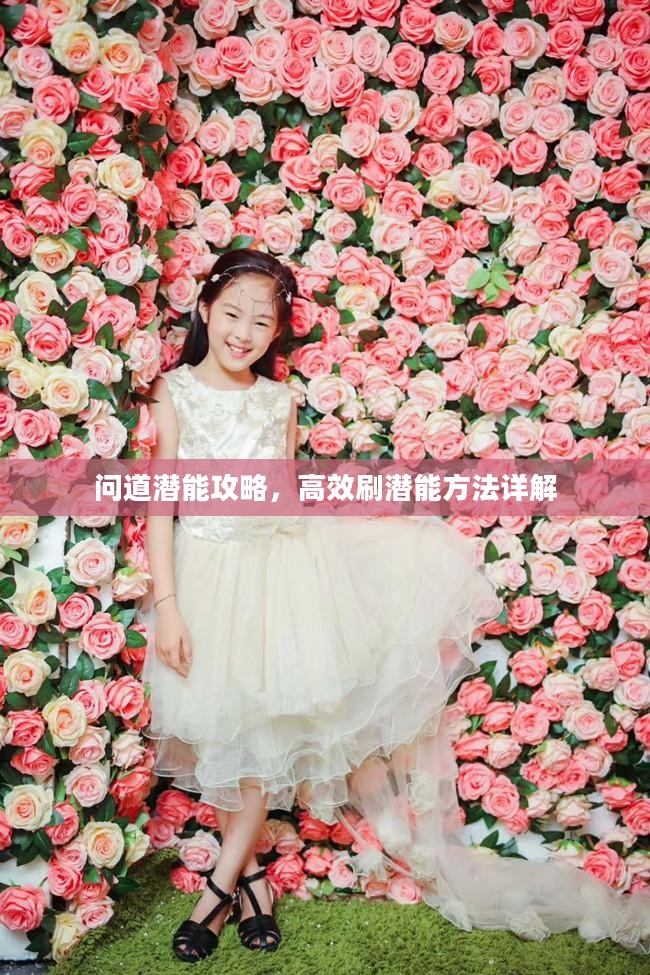 问道潜能攻略，高效刷潜能方法详解